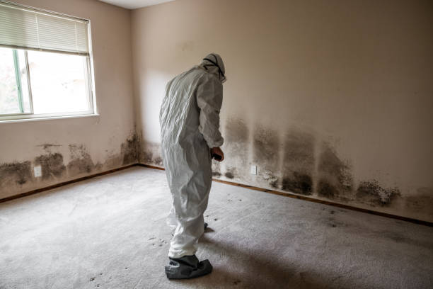 Best Industrial Mold Remediation  in Eagle Mountain, UT